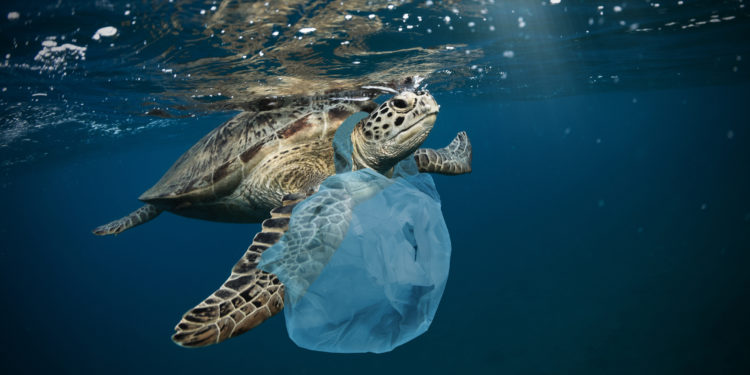 Underwater global problem with plastic rubbish