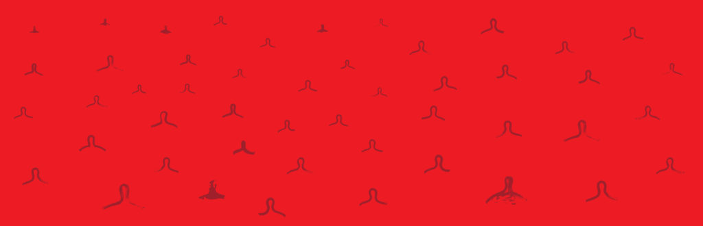 card image description