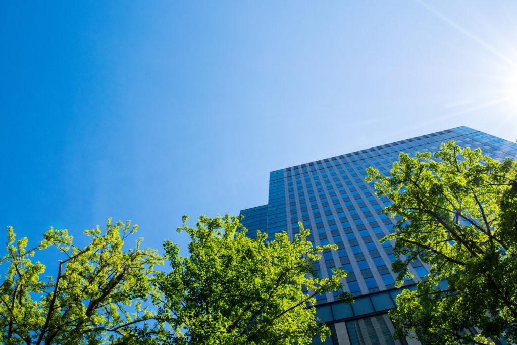 card image description