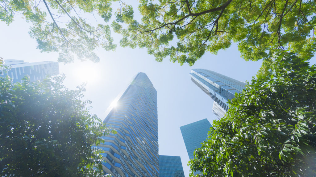 card image description